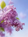 Beautiful lilac flower in macro focus. AI