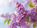 Beautiful lilac flower in macro focus. Generative AI