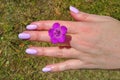 A beautiful lilac flower in a woman& x27;s hand