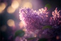 Beautiful lilac flowers on a background of bokeh.