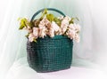 Beautiful lilac flowers in basket