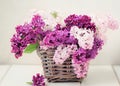 Lilac Flowers Bouquet in Wisker Basket Royalty Free Stock Photo