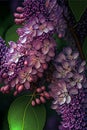 Beautiful lilac flowers on a dark background. 3d rendering