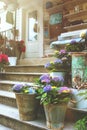 Beautiful lilac hydrangeas in iron buckets on the stairs