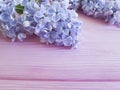 Beautiful lilac on pink wooden Royalty Free Stock Photo