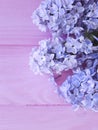 Beautiful lilac on pink wooden daylight cluster design arrangement Royalty Free Stock Photo