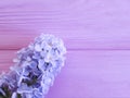 Beautiful lilac on pink wooden purple design arrangement Royalty Free Stock Photo