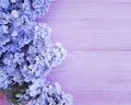 Beautiful lilac on pink wooden summer design arrangement Royalty Free Stock Photo