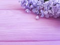 Beautiful lilac on pink wooden cluster design arrangement Royalty Free Stock Photo