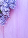 Beautiful lilac on pink wooden cluster summer design arrangement Royalty Free Stock Photo