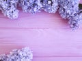Beautiful lilac on pink wooden purple border design arrangement Royalty Free Stock Photo