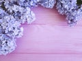 Beautiful lilac on pink wooden summer Royalty Free Stock Photo