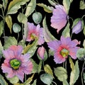 Beautiful lilac poppy flowers with green leaves on black background. Seamless floral pattern. Watercolor painting.