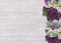 The beautiful lilac on a wooden background Royalty Free Stock Photo