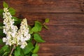 The beautiful lilac on a wooden background Royalty Free Stock Photo