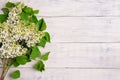 The beautiful lilac on a wooden background Royalty Free Stock Photo