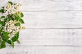 The beautiful lilac on a wooden background Royalty Free Stock Photo