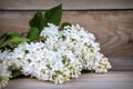 The beautiful lilac on a wooden surface. Royalty Free Stock Photo