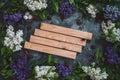 The beautiful lilac on a wooden surface Royalty Free Stock Photo