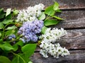 Beautiful lilac on a wooden surface. Selective focus Royalty Free Stock Photo