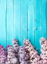 The beautiful lilac on a wooden surface Royalty Free Stock Photo