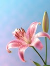 beautiful Lilly flower generative AI Royalty Free Stock Photo