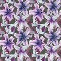 Beautiful lily flowers with leaves on gray background. Tints of purple, blue, lilac. Seamless floral pattern. Watercolor painting. Royalty Free Stock Photo