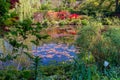 Beautiful lily pond in spring in Claude Monet`s garden. Giverny, France. Royalty Free Stock Photo