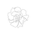 Beautiful line art rose flower. One line floral illustration for print or tattoo design. - Vector Royalty Free Stock Photo