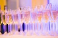 Beautiful line of different colored alcohol cocktails with smoke on a Christmas party, tequila, martini, vodka, and others on part Royalty Free Stock Photo