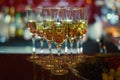 Beautiful line of different colored alcohol cocktails with smoke on a Christmas party, tequila, martini, vodka, and others on part Royalty Free Stock Photo