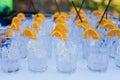 Beautiful line of different colored alcohol cocktails with smoke on a Christmas party, tequila, martini, vodka, and others on part Royalty Free Stock Photo