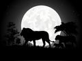 Beautiful Lion family silhouettes with giant moon background