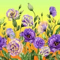 Beautiful lisianthus flowers with green leaves on gradient background. Seamless floral pattern. Watercolor painting.