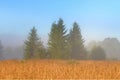 Beautiful Lithuania landscape.Foggy morning