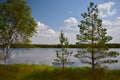 Beautiful Lithuania nature .Swamp Musa near Latvian border .