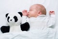 Newborn baby girl - 4 weeks - sleeping together with panda teddy bear Royalty Free Stock Photo