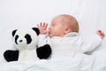 Newborn baby girl - 4 weeks - sleeping together with panda teddy bear Royalty Free Stock Photo