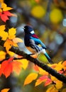 beautiful little bird titmouse sitting in an autumn garden on the branch
