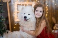 Girl and samoyed husky dog. Christmas
