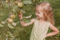 Beautiful little blonde girl tears green apples in the garden