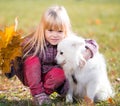 Girl, dog, kiss, fun, close up Royalty Free Stock Photo