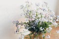 Beautiful little blue flowers in vase in warm sunlight against white wall. Delicate myosotis petals, forget me not spring flowers Royalty Free Stock Photo