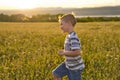 Beautiful little boy in daisy field on sunset, summertime Royalty Free Stock Photo