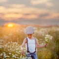 Beautiful little boy in daisy field on sunset Royalty Free Stock Photo