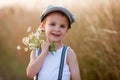 Beautiful little boy in daisy field on sunset Royalty Free Stock Photo