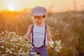 Beautiful little boy in daisy field on sunset Royalty Free Stock Photo