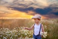 Beautiful little boy in daisy field on sunset Royalty Free Stock Photo