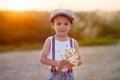 Beautiful little boy in daisy field on sunset Royalty Free Stock Photo