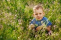 Beautiful little boy hiding in tall grass squatting Royalty Free Stock Photo